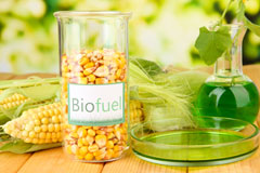 Skipness biofuel availability