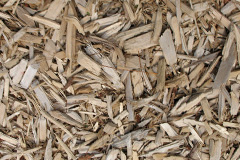 biomass boilers Skipness